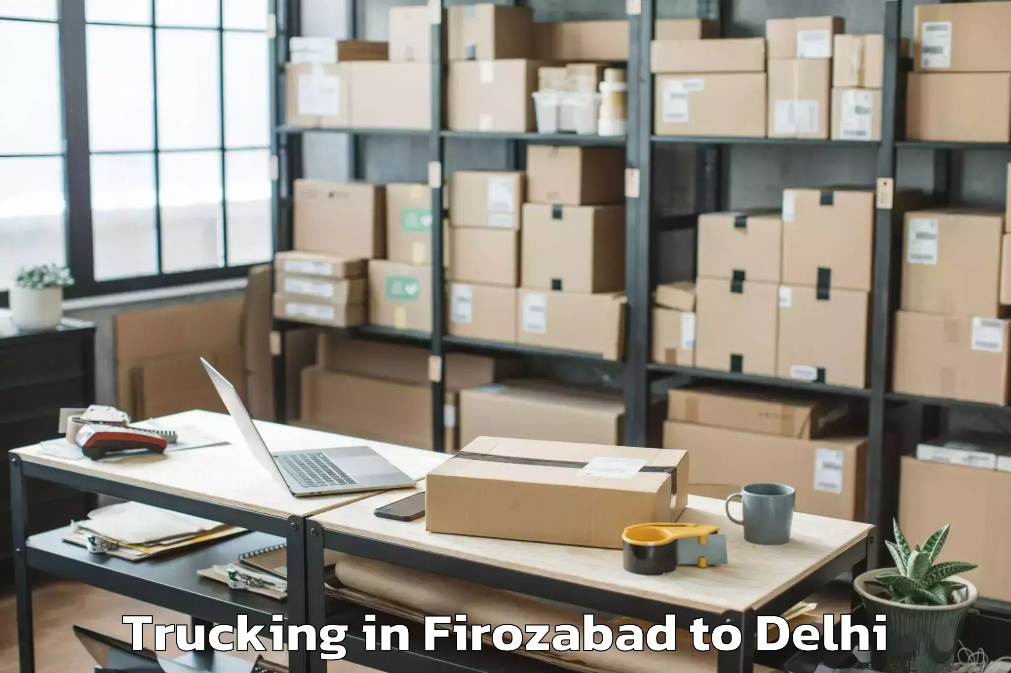 Book Firozabad to Delhi Technological University Trucking Online